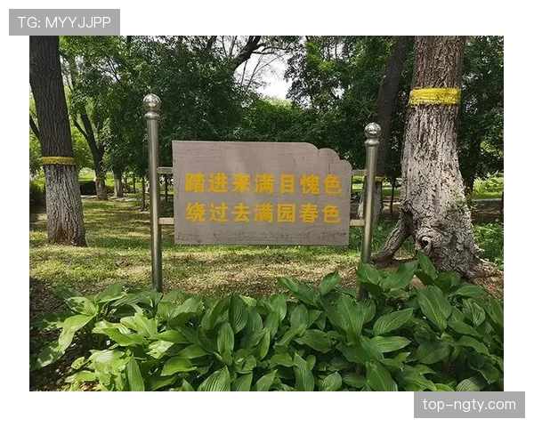 草坪场地规则拆解：标准尺寸与质量对比赛判罚有何影响